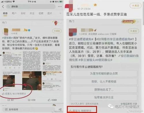 娱乐圈的吃瓜文件